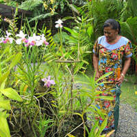 Fiji family fun with the kids - wander the leafy greens of the Garden of the Sleeping Giant