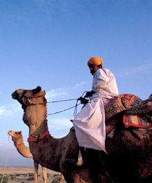 Colourful Rajasthani cameleer