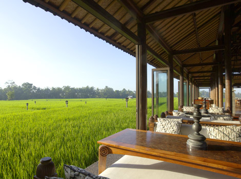 Set in rice fields this is one of the best Bali luxury resorts with a laid back vibe