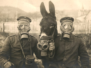 Archive image of German soldiers in gas masks during the first world war - the donkey has gear too