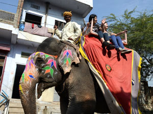 Elephant ride in Jaipur