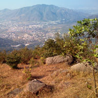 Hongkong guide, view from Tai Mo Shan