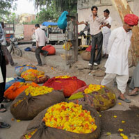 Jaipur fun for the family, Phool Mandi marigolds