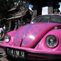 Bali fun guide - Pink Beetle, wild at art