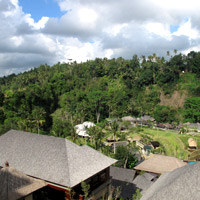 Mandapa view over rice fields and villas
