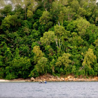 Sabah adventure guide, jungle islands