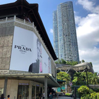 PRADA billboard at Tangs on Scotts