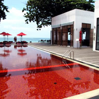 Best Koh Samui boutique resorts, The Library's blood red pool
