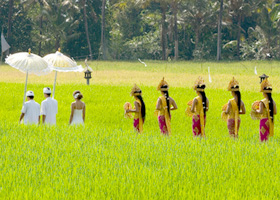 Verdant Chedi Club Tanah Gajah Ubud, Bali - perfect spot for a Balinese wedding