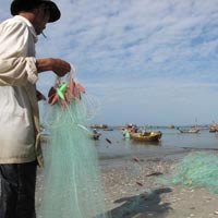 Fishing boats Mui Ne