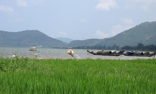 Rice Fields En Route From Danang To Hue / photo: Vijay Verghese