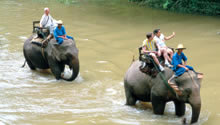 Elephant treks