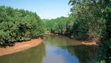 Green rivers