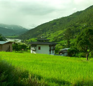 Nestled in green, Aman Resorts in Bhutan, Punakha countryside