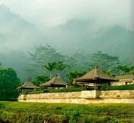 Suite terraces look out over rice fields