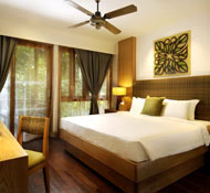 Comfortable room interiors are contemporary and with WiFi