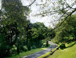 Greenery abounds at Carcosa Seri Negara, a top Malaysian heritage hotel