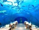 Underwater dining with a difference
