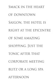 Some of the best Saigon conference hotel facilities are found here
