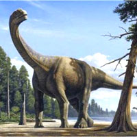 Titanosaurs raomed free at Eromanga, Australia