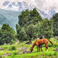 Bishkek fun guide, Ala Archa park in the Tian Shan mountains not far from Alamedin Gorge