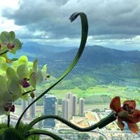 Shenzhen guide to best luxury hotels, St Regis lobby view