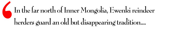 Mystery of the vanishing GMs