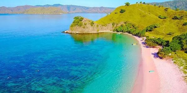 Startlingly pink sand on Komodo Island