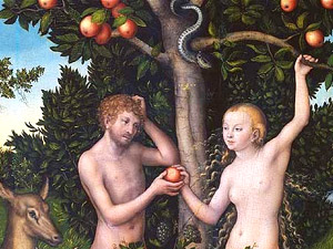 Adam and Eve learned the hard way - a Man in the Middle attack with in-flight WiFi is always a possibility
