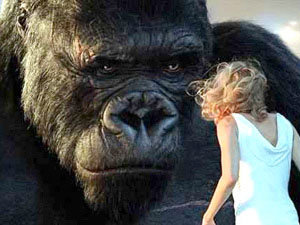 King Kong - nothing fake about this guy...