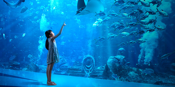 Guide to the best child-friendly hotels and resorts in Asia for stress-free family holidays — girl views aquarium at Atlantis Sanya