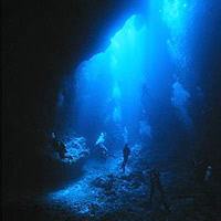 Best Palau dives, blue hole