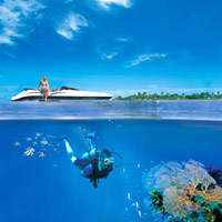 Maldives best dives,Conrad Maldives