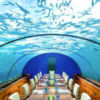 Hold an underwater board meeting at Conrad Maldives - Ithaa Restaurant