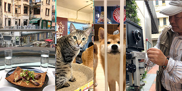 Causeway Bay fun guide to dog cafes, cat cafes, the best crepes in Hong Kong and more