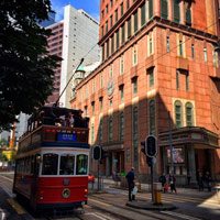 Open top bus tours are popular