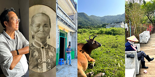 Kuk Po residents have sought official aid to help restore their homes but to no avail; meanwhile unclaimed herds of cows roam free