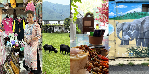 Kam Tin fun guide for Hong Kong weekends - Fanny Leung Thai designs, goats in field, Thai food, wall murals