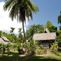 Andaman Island resorts, Wild Orchid cottage
