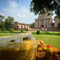 Delhi fun guide - Spicy nibbles at Lodhi Garden