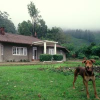 Munnar tea planter's cottage