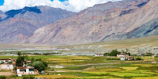 Green fields en route from Karsha to Padum along the end of the Zanskar Valley