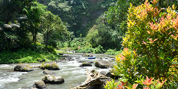 Bali fun guide - whitewater rafting along the Ayung River, Ubud