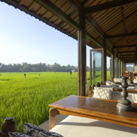 Bali resorts review, Tanah Gajah rice fields, Ubud, one of the best Bali boutique hotels