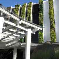 Bali hip hotels, Stones vertical garden