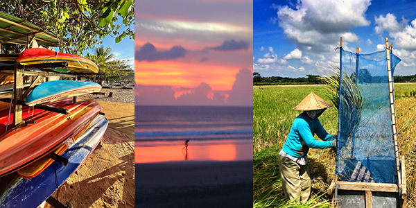 Bali fun guide - Surfboards await morning trippers, sunset at Seminyak Beach, and woman threshing rice in a Sayan paddy field in the Ubud area