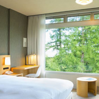 Niseko resort guide, Green Leaf Niseko Village room