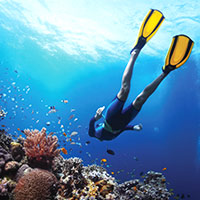 Tioman fun dives are popular and resorts like Berjaya can get you set up for coral viewing and shipwrecks
