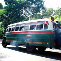 Yangon transport, bus