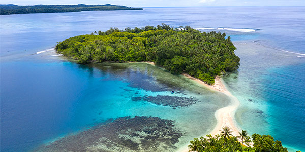 Papua New Guinea guide to best PNG dives, New Britain coral seas